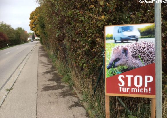 Naturschutzhelden