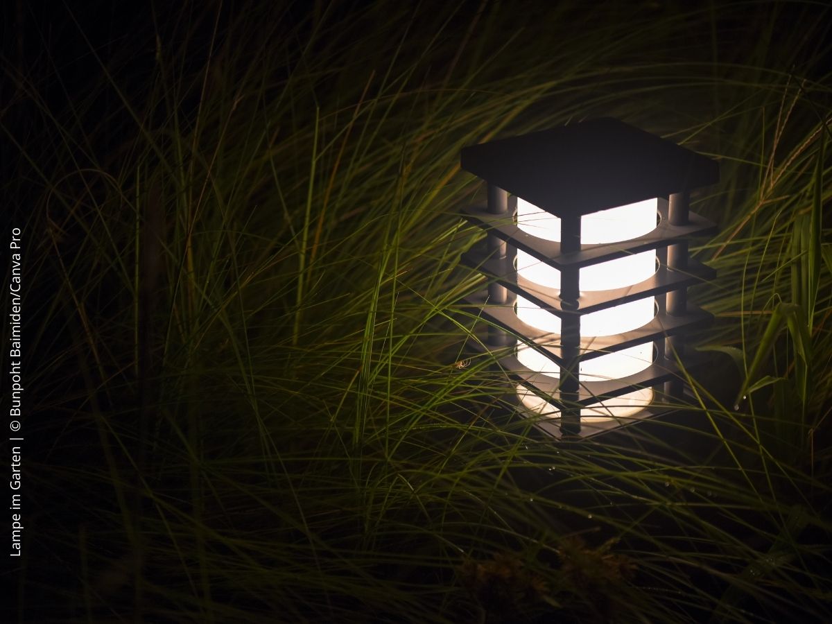LED Lampe im Garten